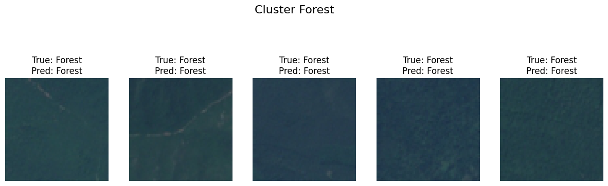 Cluster Forest