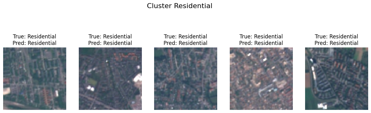 Cluster Residential